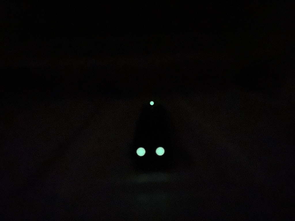 P90TR専用 カスタムトップレール