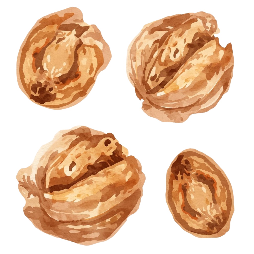 水彩画風 秋の食べ物クリップアートセット(20種)/ナチュラルで可愛い素材集