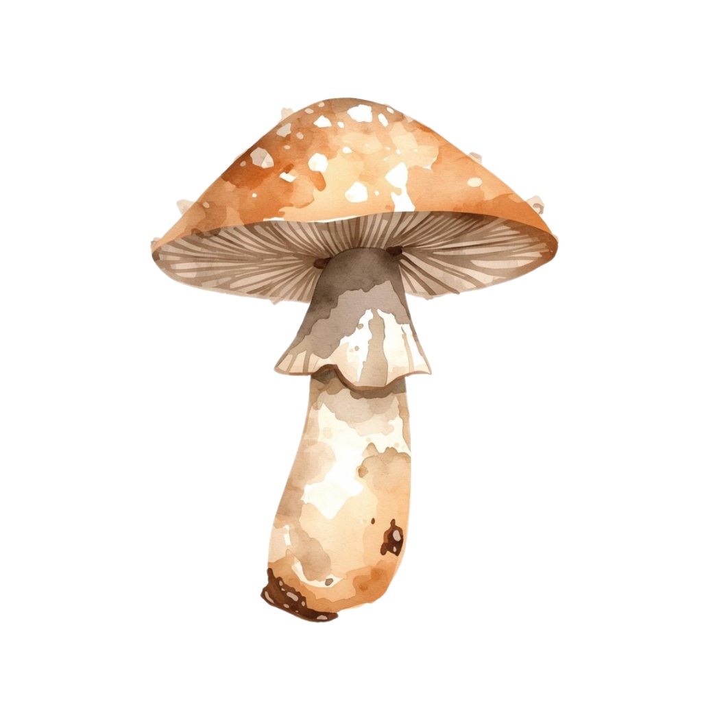 水彩画風 秋の食べ物クリップアートセット(20種)/ナチュラルで可愛い素材集