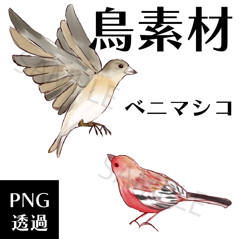 【鳥素材】ベニマシコ　立ち絵装飾 【PNG素材】