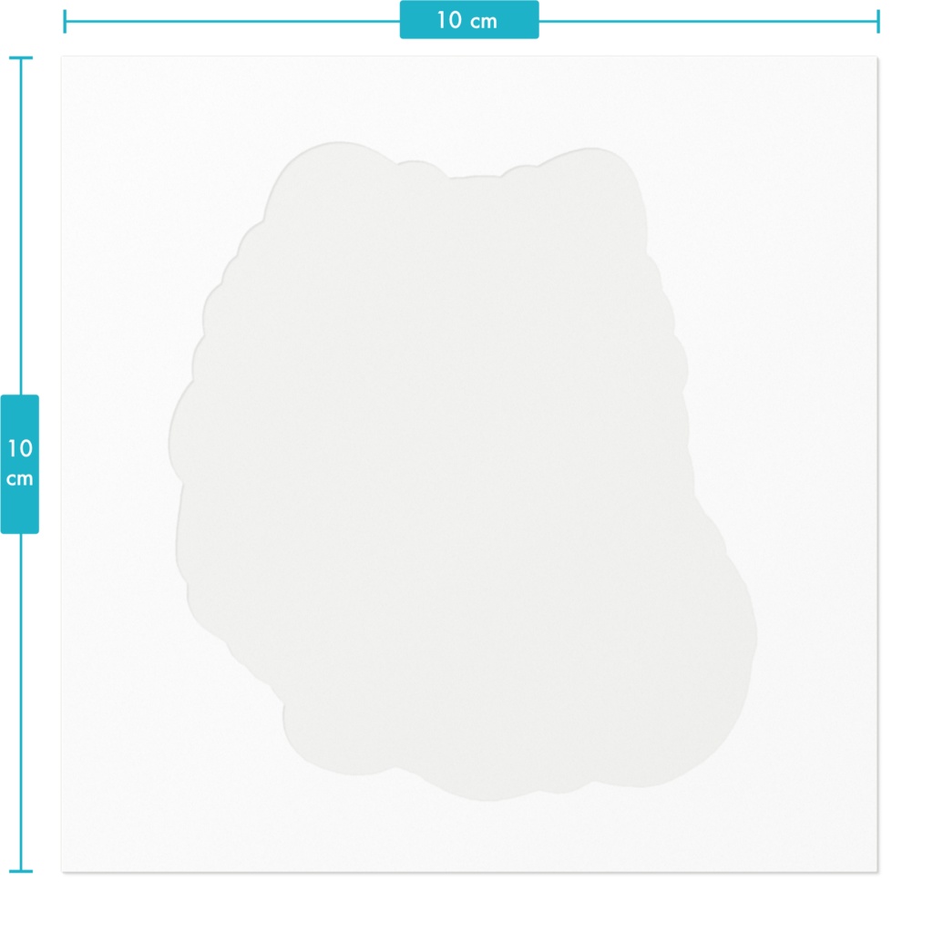 もふもふポメラニアン