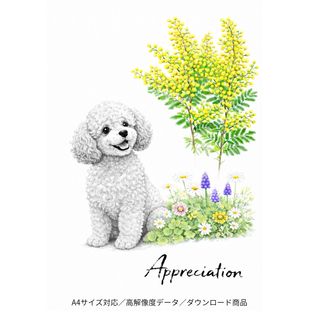 【商用利用OK】プードル×ミモザ|上品で優しい水彩イラストデータ|A4サイズPNGダウンロード