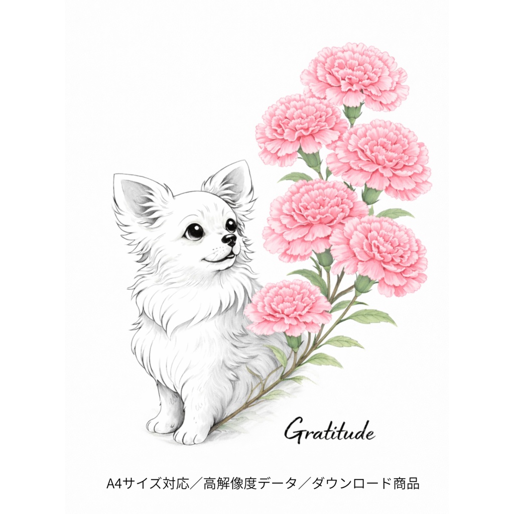 【商用利用OK】チワワ×カーネーション|大人可愛い水彩イラストデータ|母の日・ギフト素材|A4 PNGダウンロード