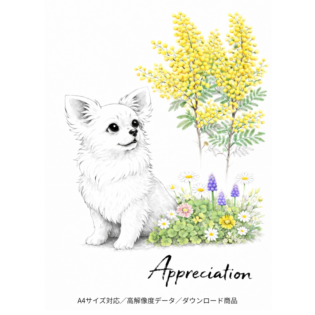 【個人利用】チワワ×ミモザ|春の癒し水彩イラスト|ナチュラルインテリアに|A4 PNGダウンロード