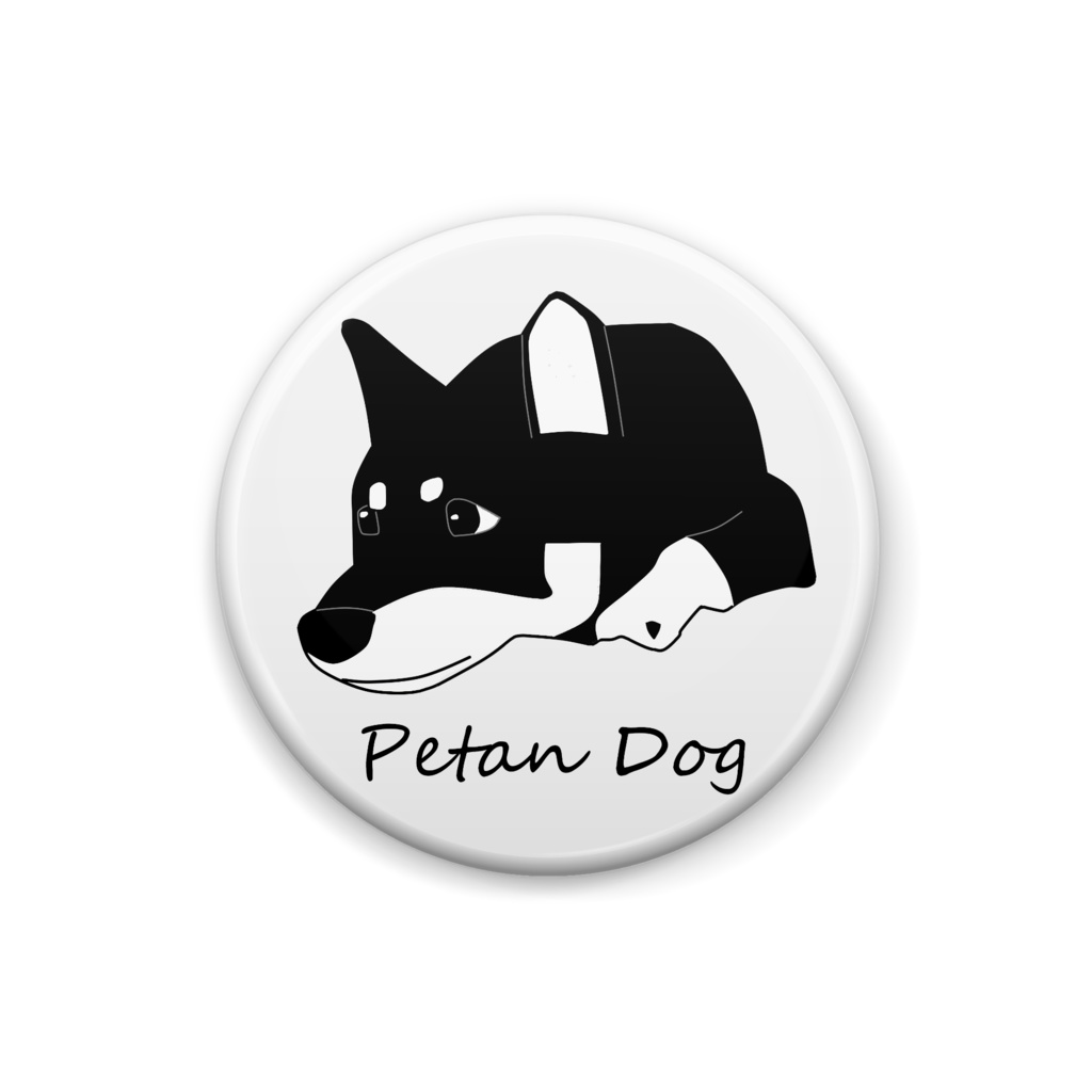 ペタンする黒の柴犬