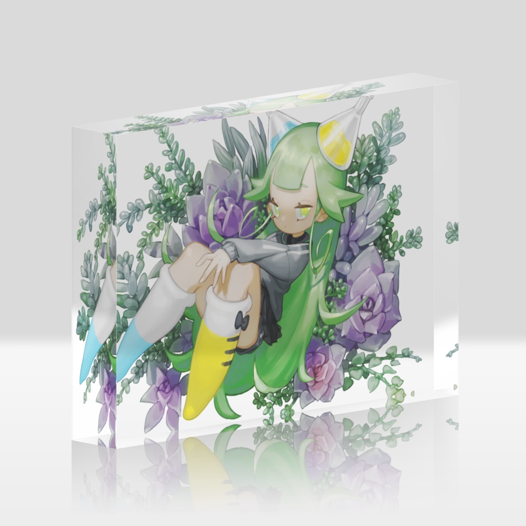 観葉植物