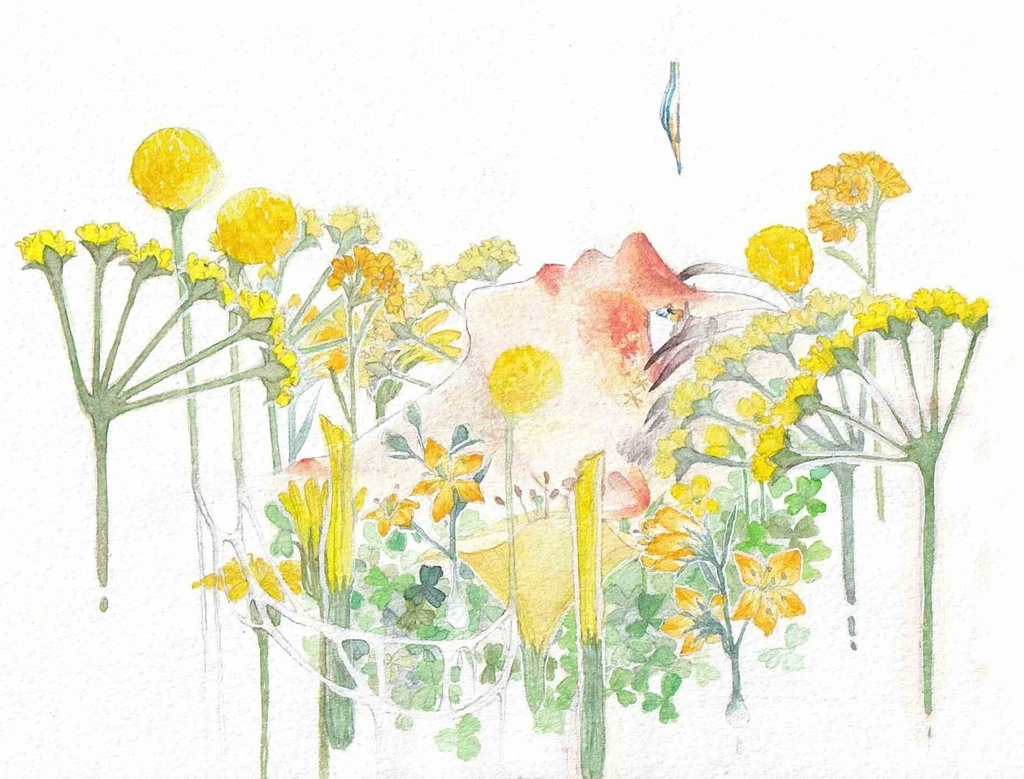 【黄花】 12.2×15cm