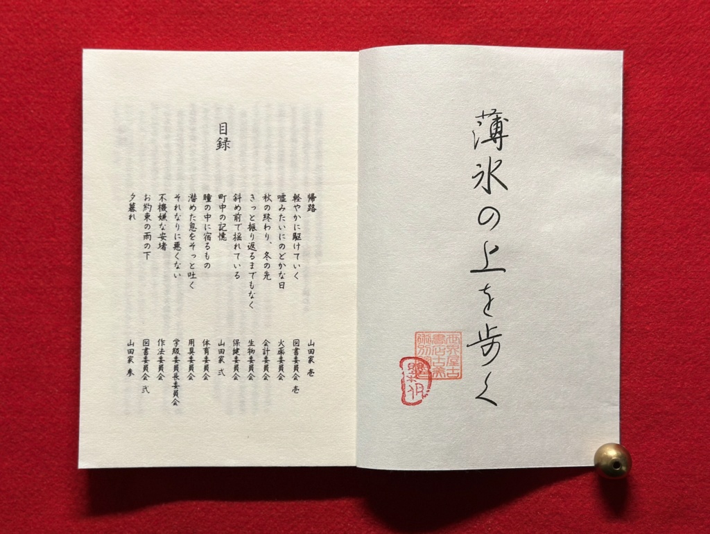 薄氷の上を歩く(土井先生中心)