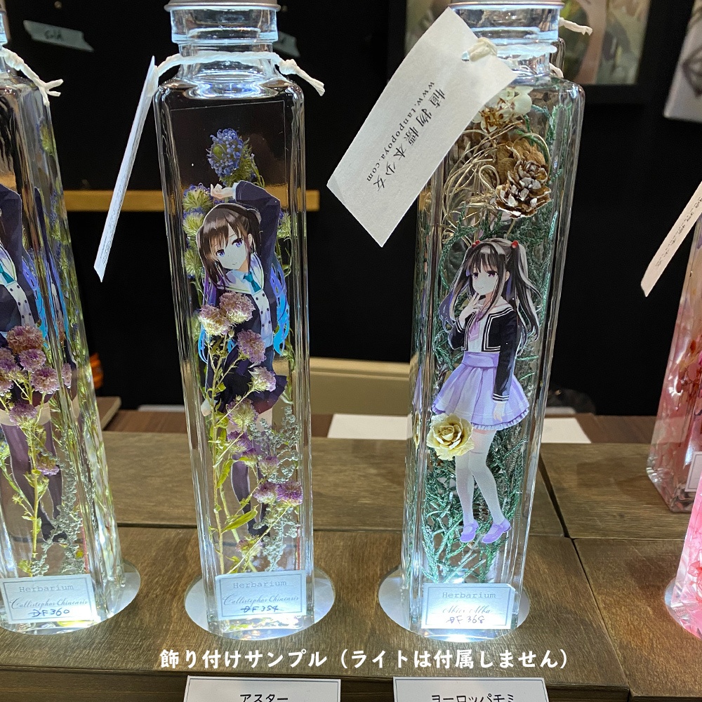 植物標本少女 ハーバリウム モミ Tanpopoya Booth