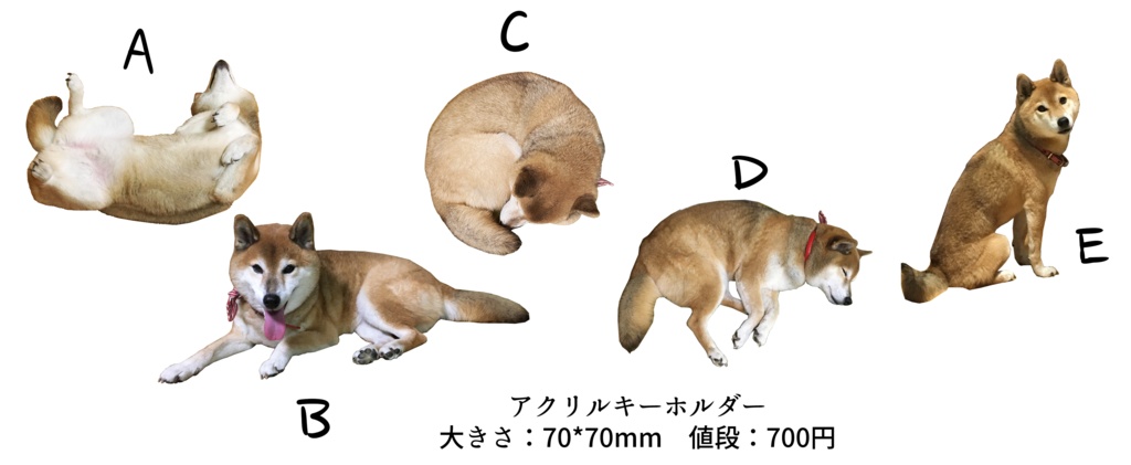 犬アクリルキーホルダー