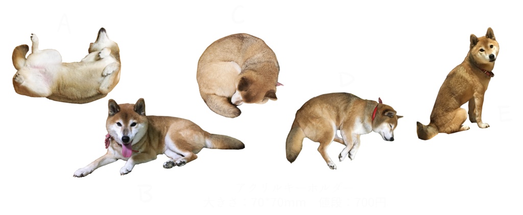 犬フレークシールセット