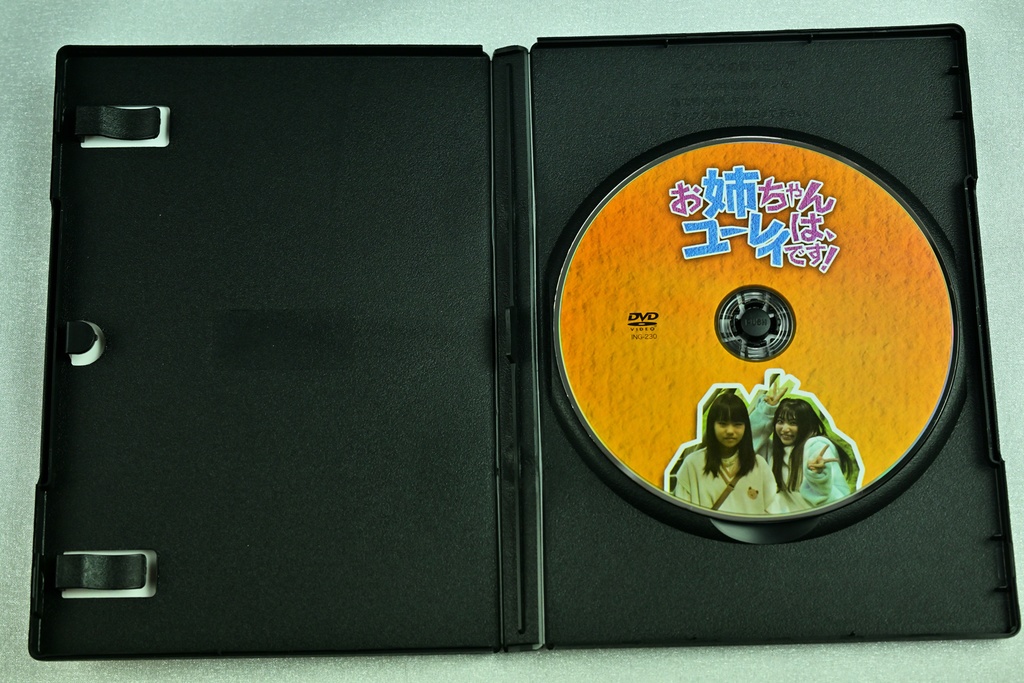 【通常版】テレビドラマ お姉ちゃんはユーレイです! DVD