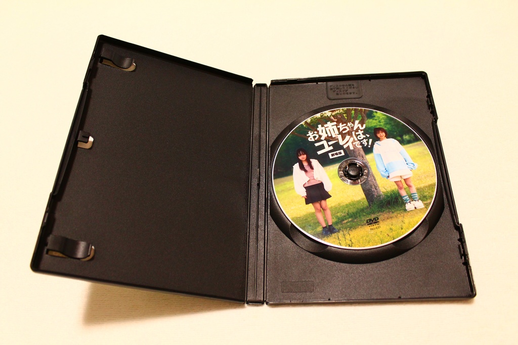 【通常版】 劇場版 お姉ちゃんは、ユーレイです! DVD