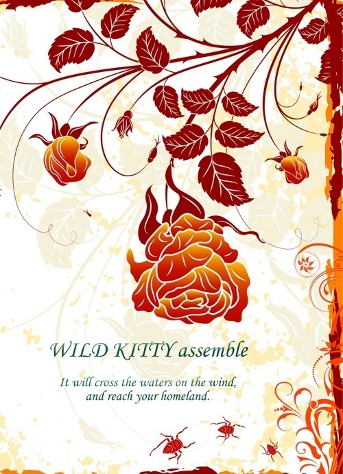 Wild Kitty assemble -風に乗って海を越えて君の大地に届くまで-