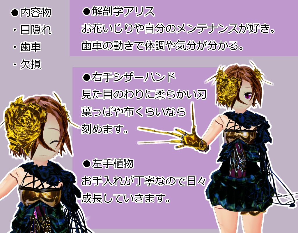 【VRChatアバター想定3Dモデル】解剖学アリスso2s