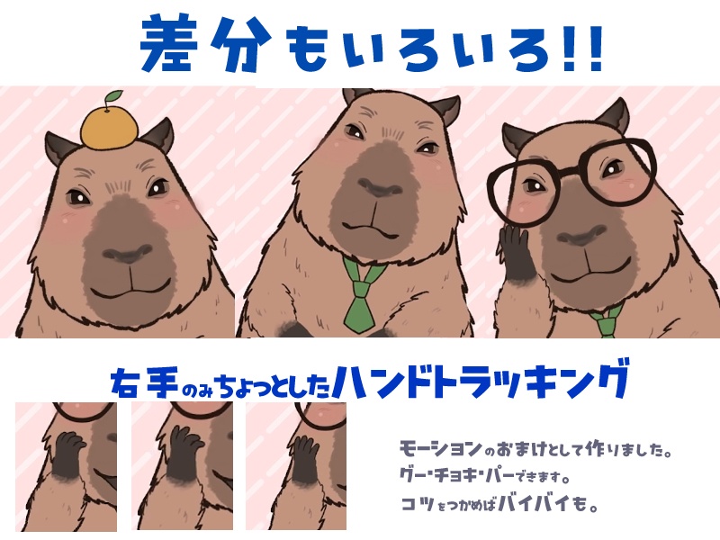 【汎用モデル】カッピー/VTS用