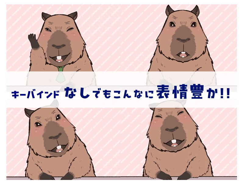 【汎用モデル】カッピー/VTS用