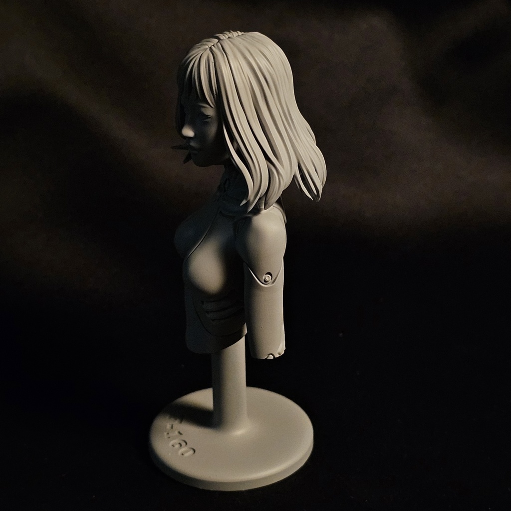 1:9 オートパンクF-160 胸像 AUTO  PUNK F-160 BUST