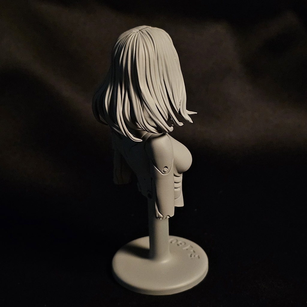 1:9 オートパンクF-160 胸像 AUTO  PUNK F-160 BUST