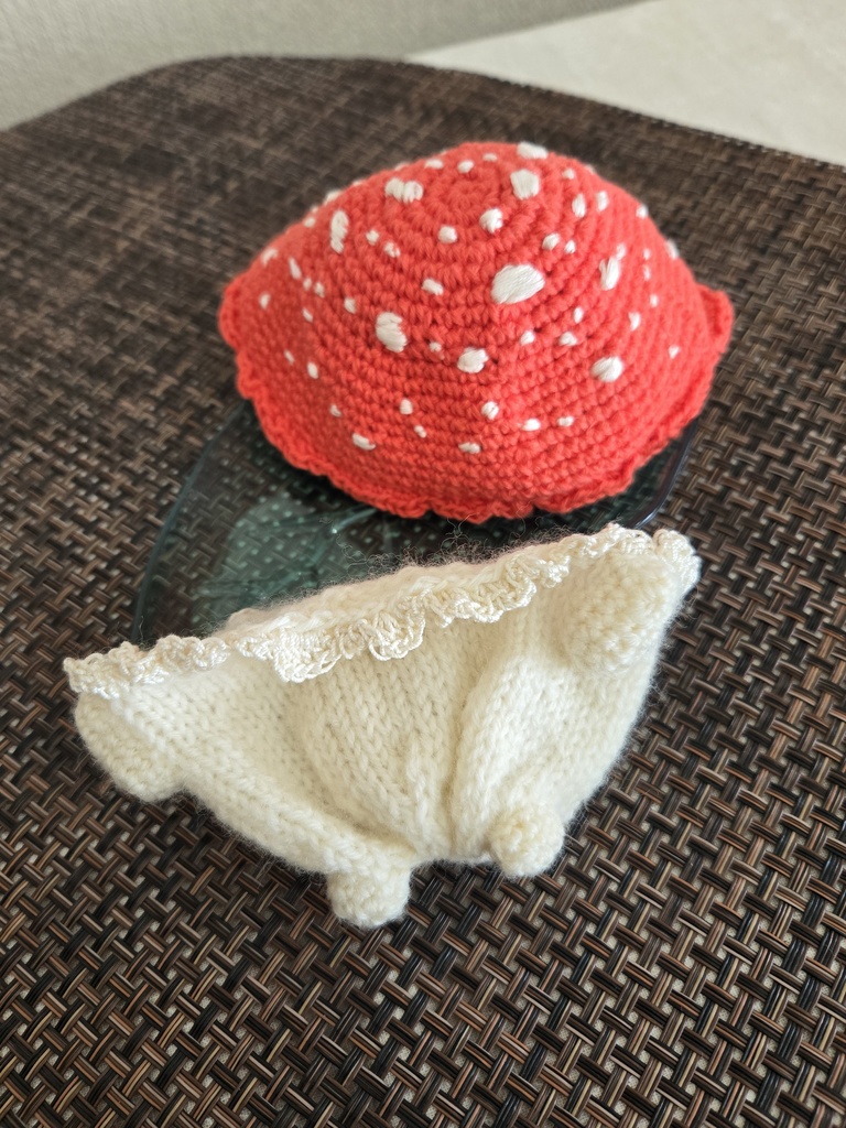 ใตใใตใ๐ใปใใใขใใ