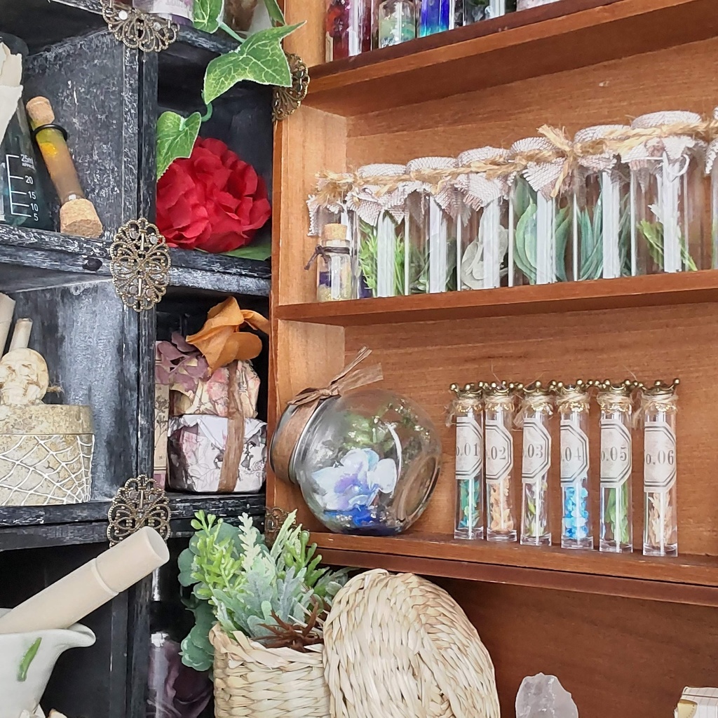 【お値段改定🪄】魔女の棚の薬草&毒草🌿✨標本6本セット(2種類)★1/3ドールサイズ/BOXにお入れしてお届けします♪