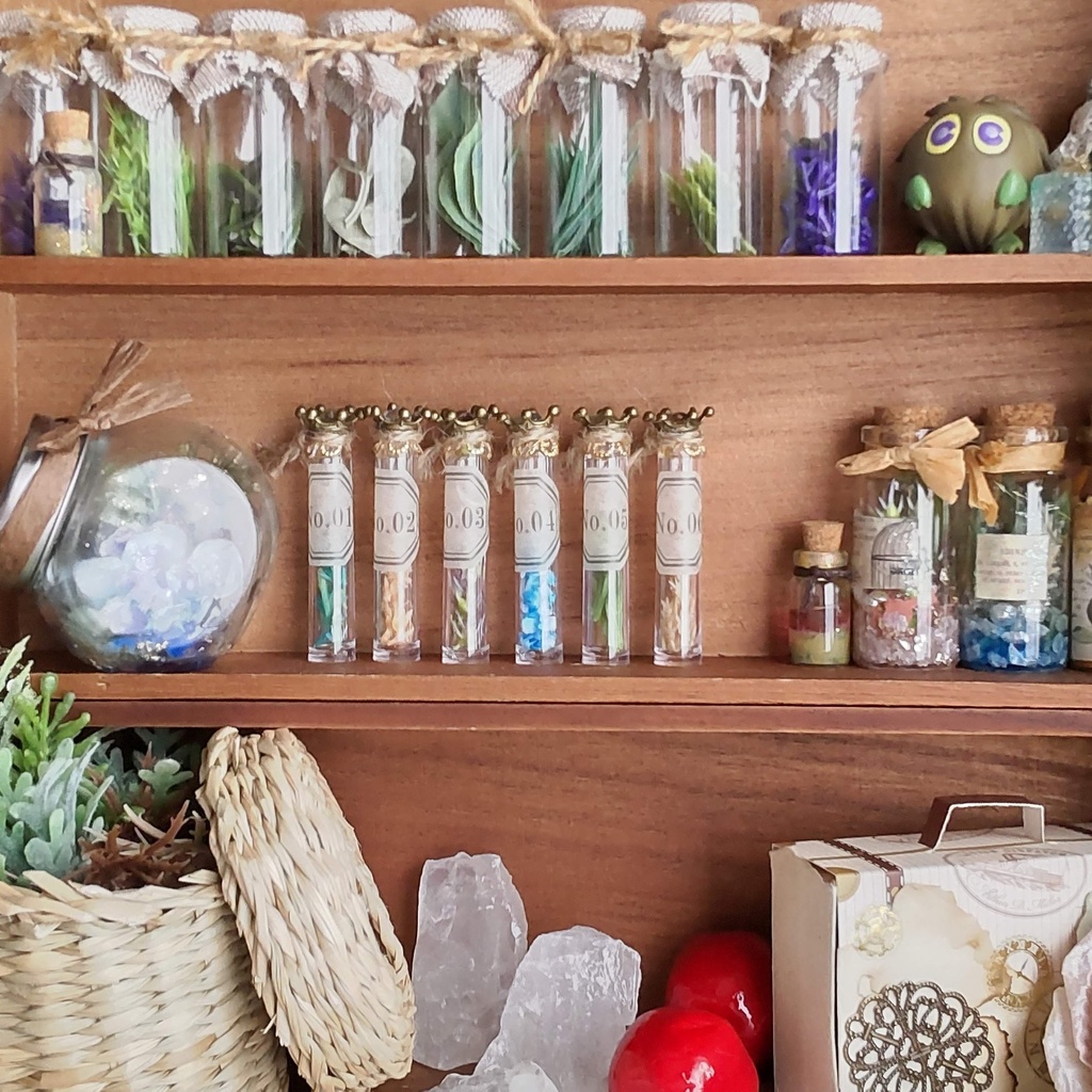 【お値段改定🪄】魔女の棚の薬草&毒草🌿✨標本6本セット(2種類)★1/3ドールサイズ/BOXにお入れしてお届けします♪