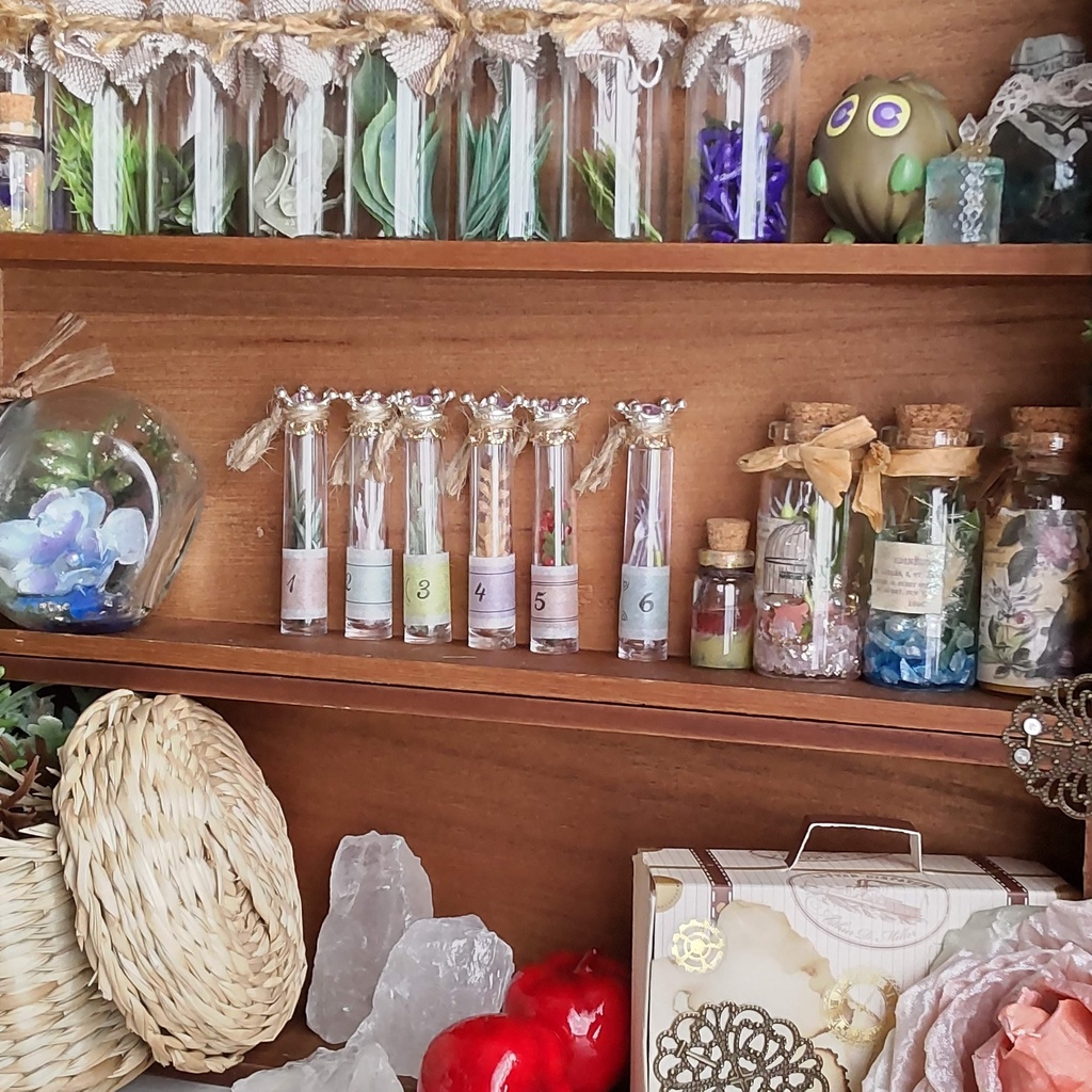 【お値段改定🪄】魔女の棚の薬草&毒草🌿✨標本6本セット(2種類)★1/3ドールサイズ/BOXにお入れしてお届けします♪