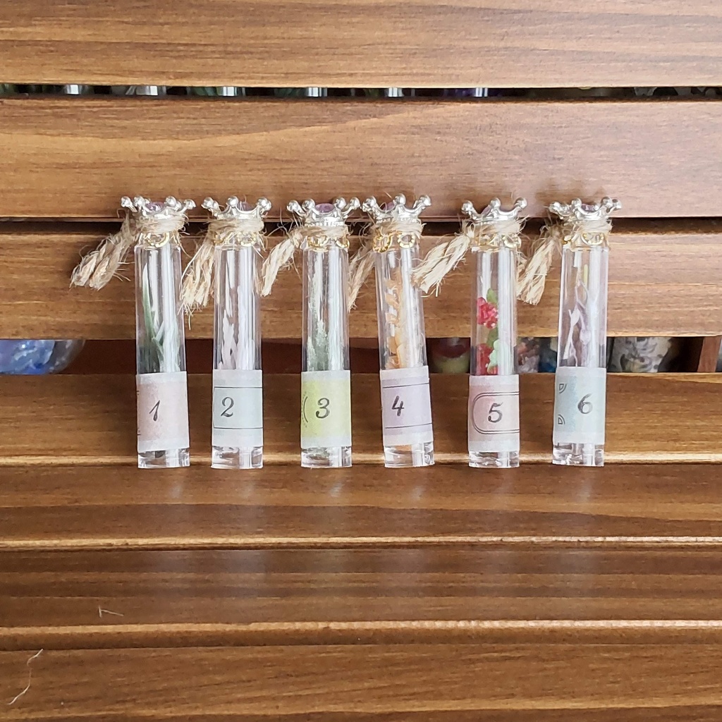 【お値段改定🪄】魔女の棚の薬草&毒草🌿✨標本6本セット(2種類)★1/3ドールサイズ/BOXにお入れしてお届けします♪