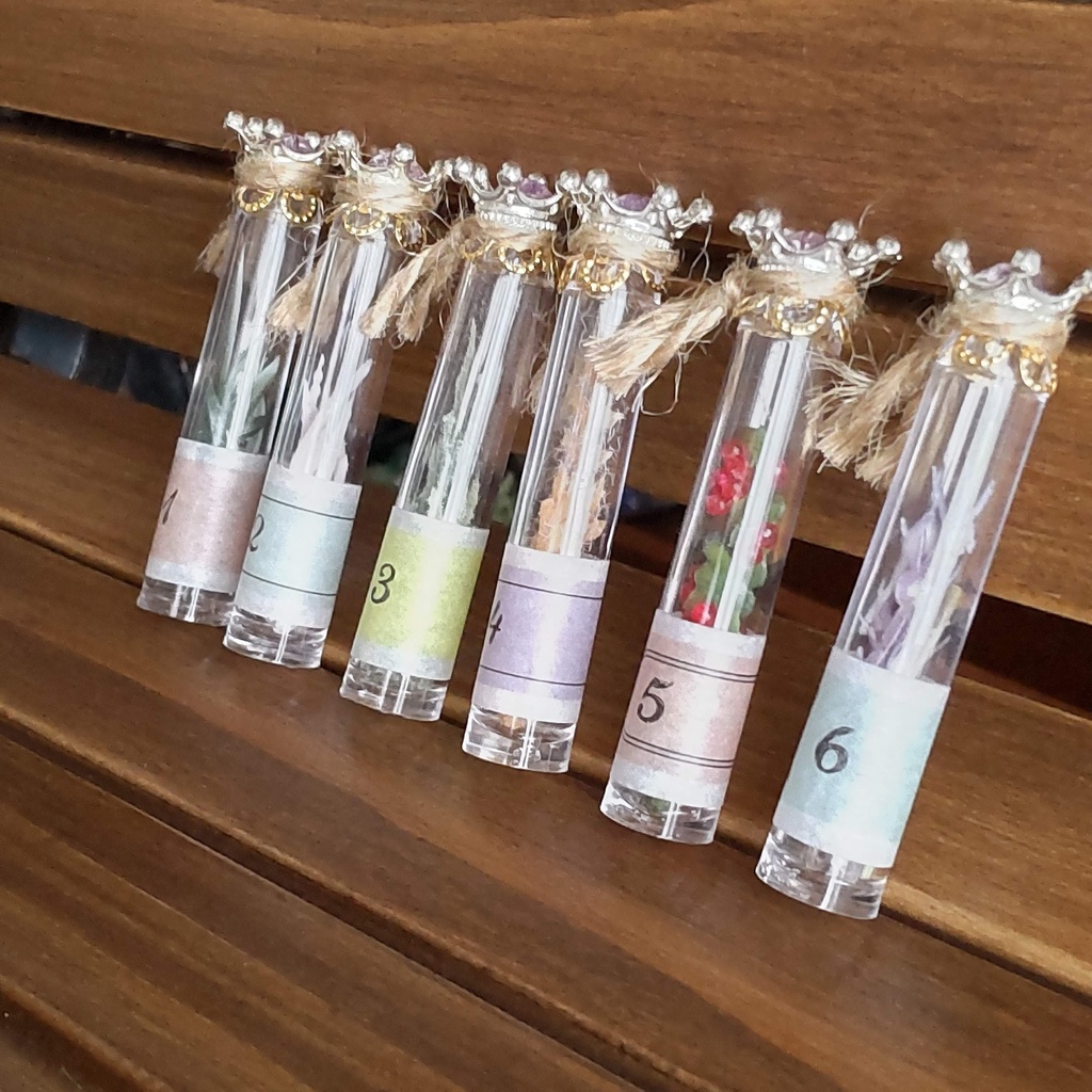 【お値段改定🪄】魔女の棚の薬草&毒草🌿✨標本6本セット(2種類)★1/3ドールサイズ/BOXにお入れしてお届けします♪