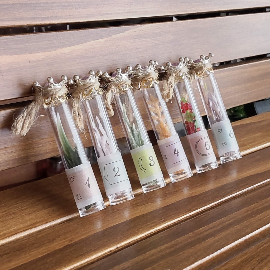 【お値段改定🪄】魔女の棚の薬草&毒草🌿✨標本6本セット(2種類)★1/3ドールサイズ/BOXにお入れしてお届けします♪