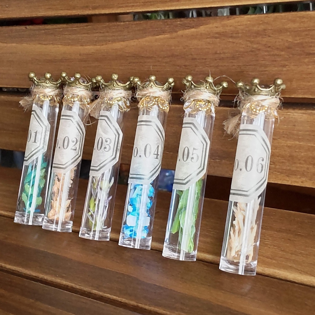 【お値段改定🪄】魔女の棚の薬草&毒草🌿✨標本6本セット(2種類)★1/3ドールサイズ/BOXにお入れしてお届けします♪