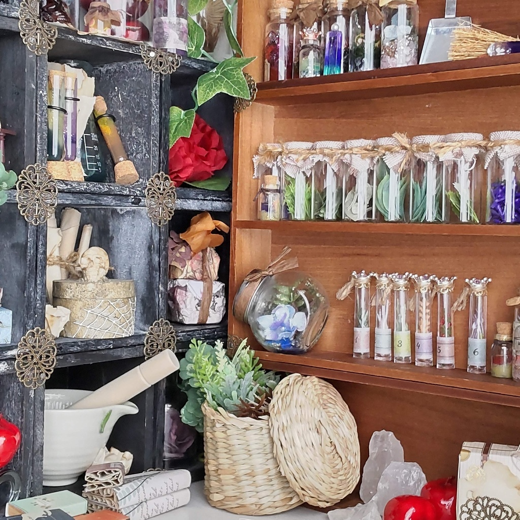 【お値段改定🪄】魔女の棚の薬草&毒草🌿✨標本6本セット(2種類)★1/3ドールサイズ/BOXにお入れしてお届けします♪