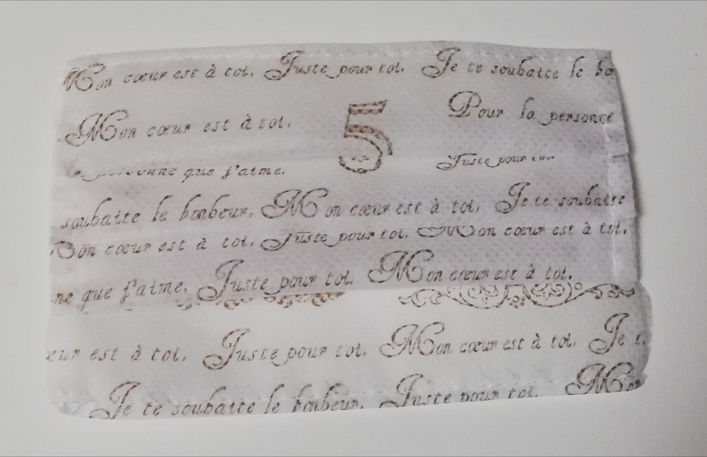 不織布インナーマスクフィルター フランス語 二重構造ジャバラ式