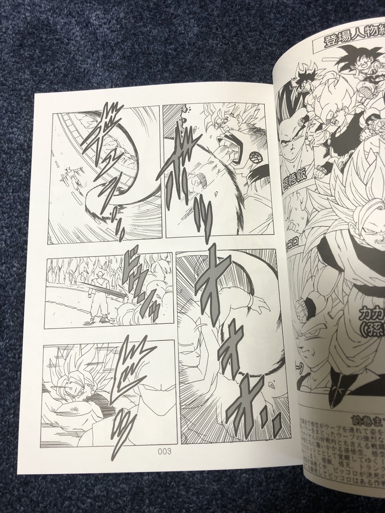 その後のDB真10巻