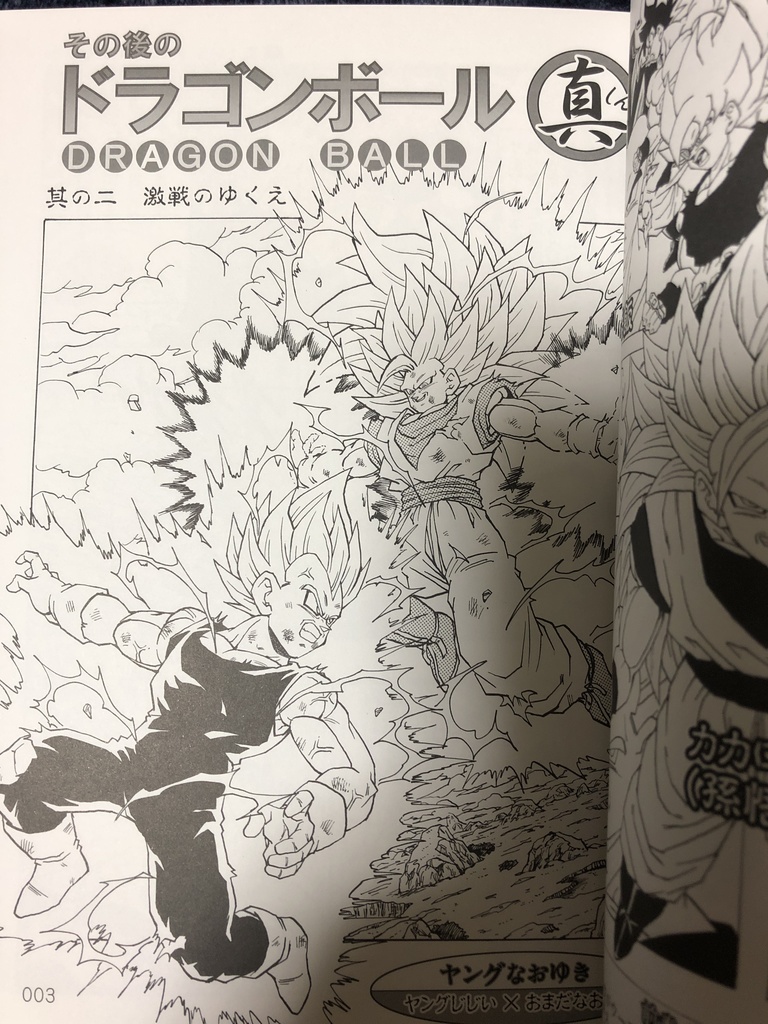 その後のDB真2巻