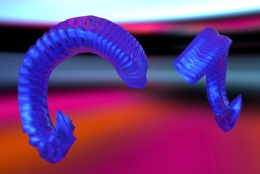 ムフロンの角(リアル Ver +13種テクスチャ付き)