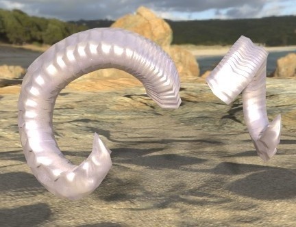 ムフロンの角(リアル Ver +13種テクスチャ付き)