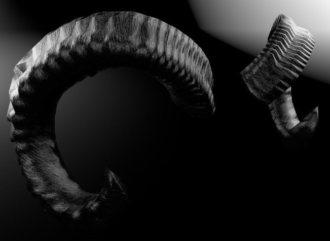 ムフロンの角(リアル Ver +13種テクスチャ付き)