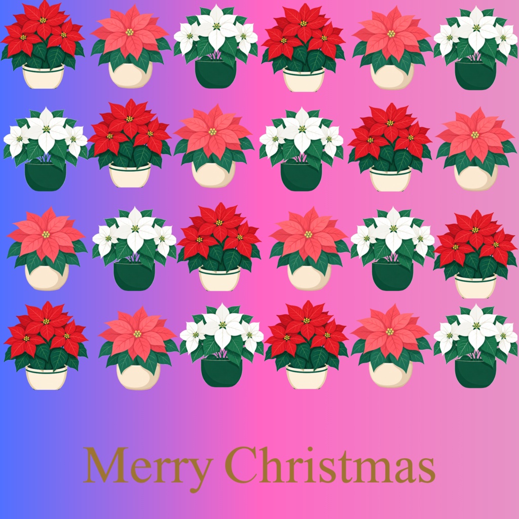 ポインセチアBLUE&PINK（クリスマス）