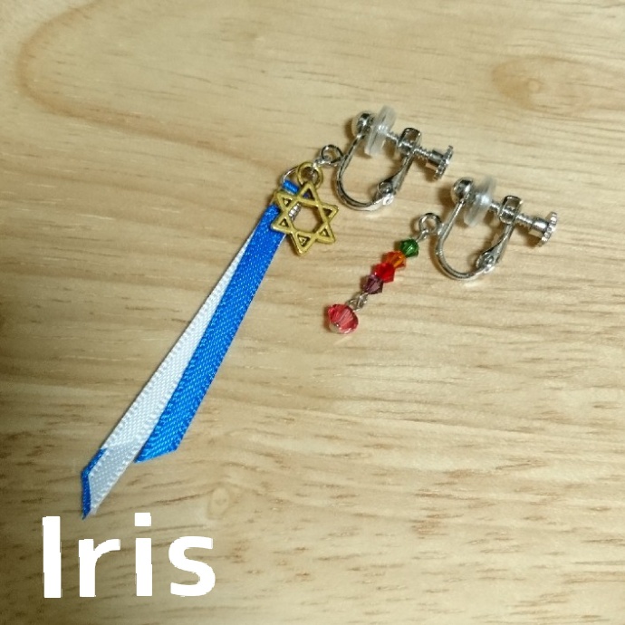 アインレーラアシンメトリーイヤーアクセ