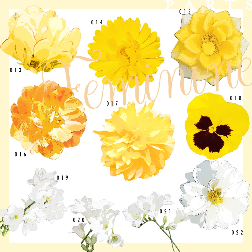 同人誌用素材セット1Flower