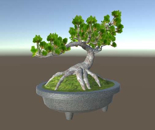 盆栽 松 bonsai