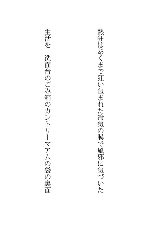 やわらか視線論(匿名配送・追跡あり)