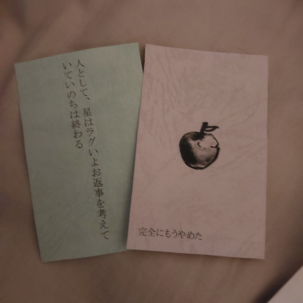 やわらか視線論(匿名配送・追跡あり)