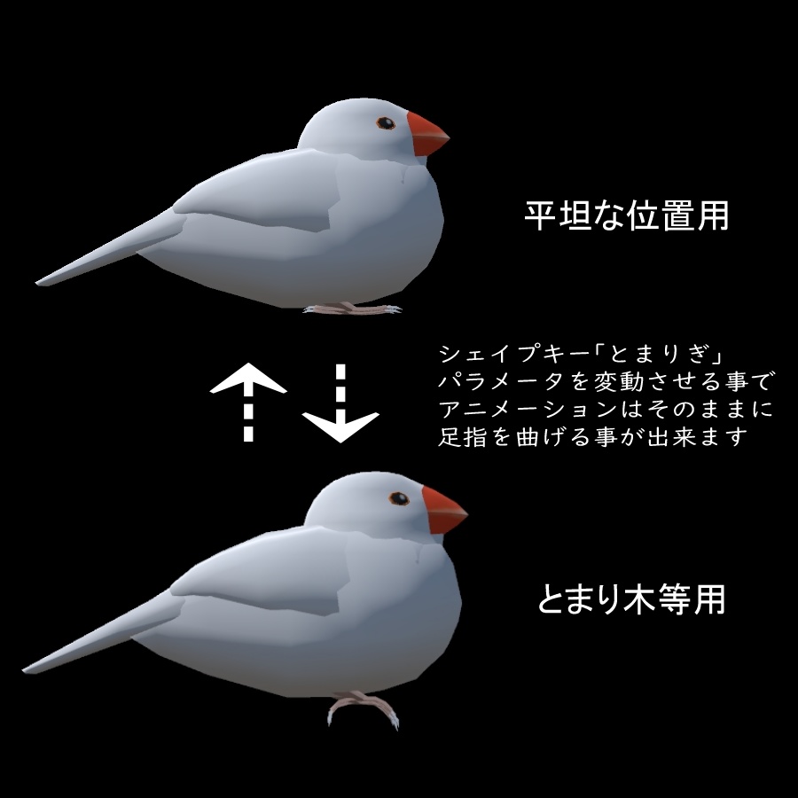 もっちり文鳥