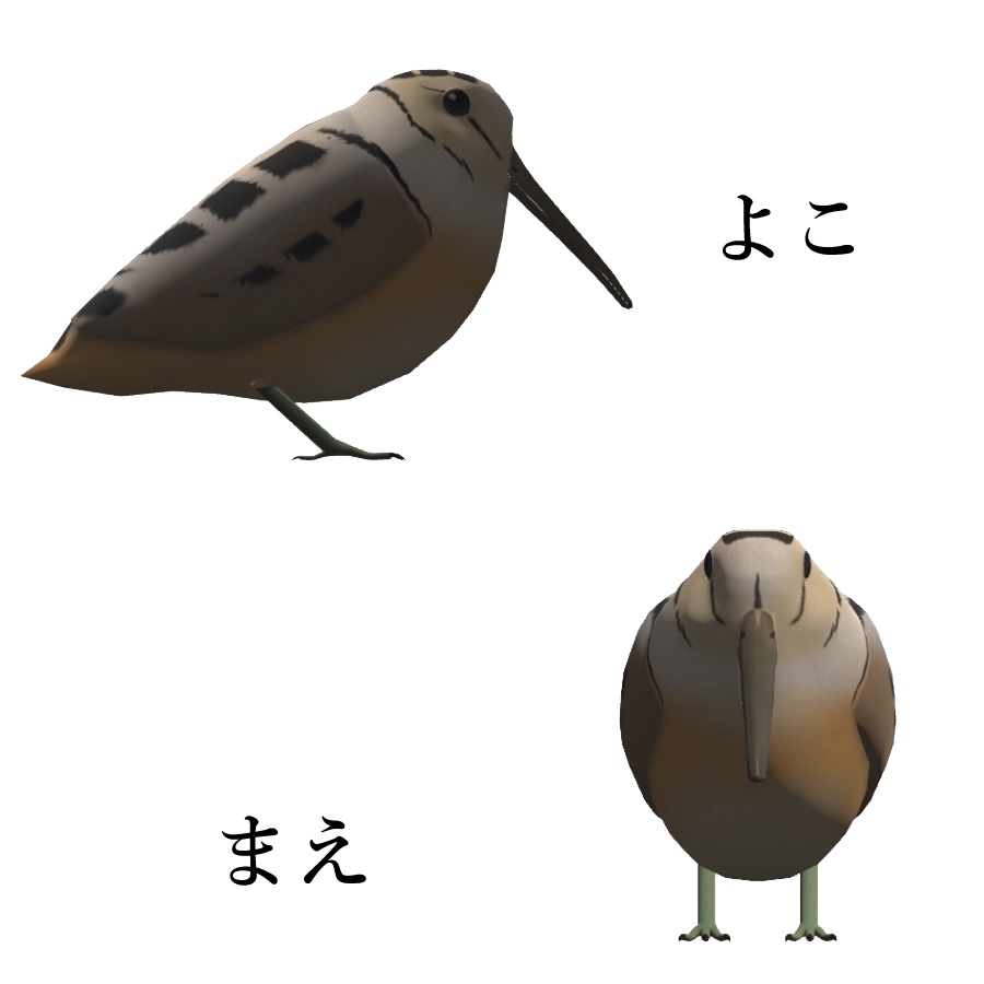 VRChatワールド向けアセット「中々目の前を横切ってくれないアメリカヤマシギ」