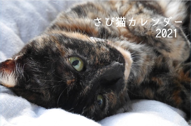 さび猫カレンダー かぴばら印刷 Booth