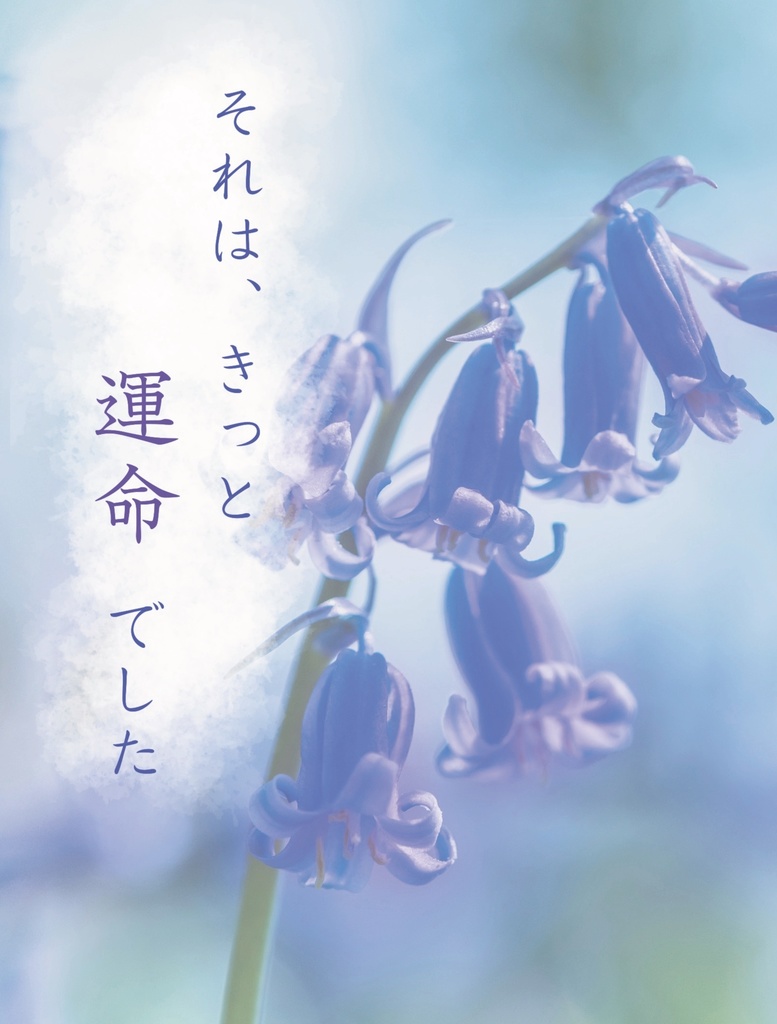 それは、きっと、運命でした(ランギネ中心、円卓生前本)