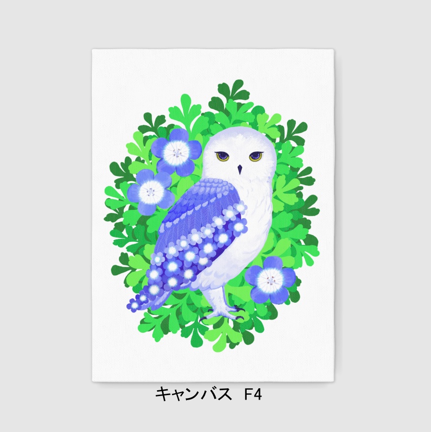 ネモフィラ羽の梟