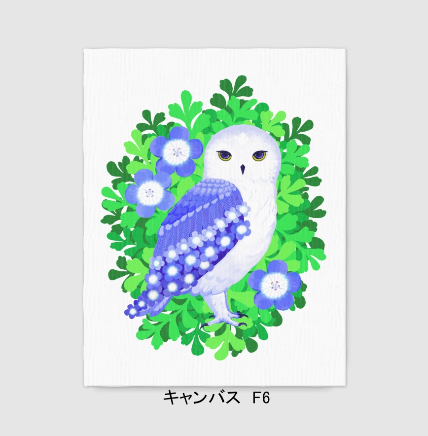 ネモフィラ羽の梟